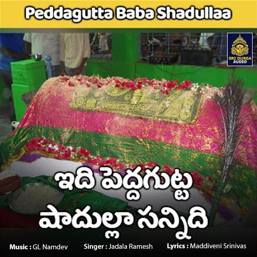 Idi Peddagutta Shadullaa Sannidi