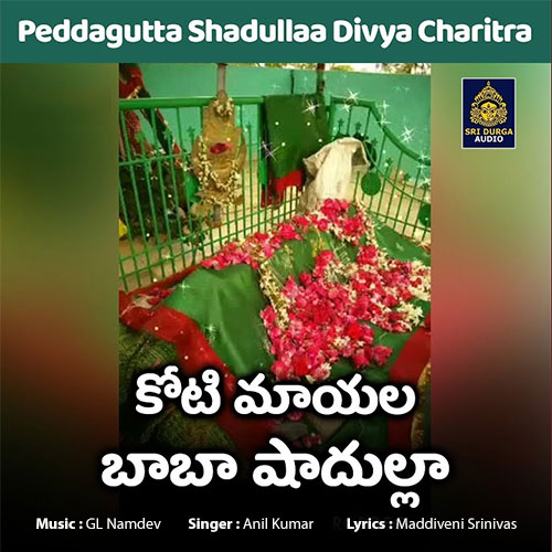 Peddagutta Shadulla Divya Charitra